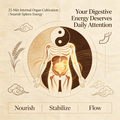 25-Min Internal Organ Cultivation | Nourish Spleen Energy