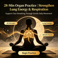 28-Min Organ Practice | Strengthen Lung Energy & Respiration